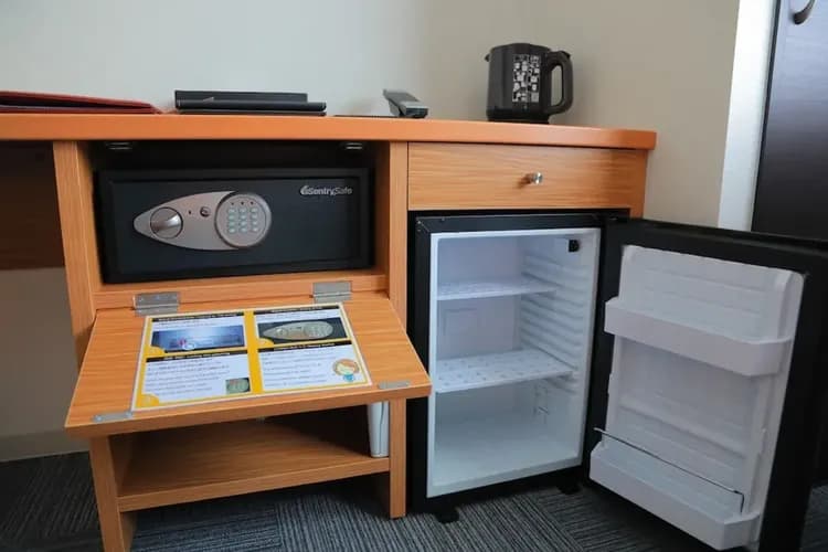 Mini-refrigerator
