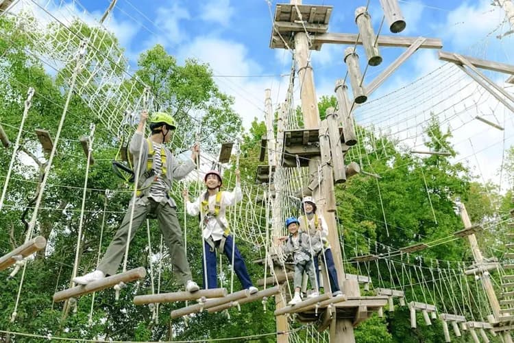 Ropes course (team building)