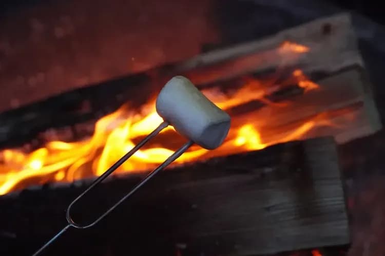 Children's activities