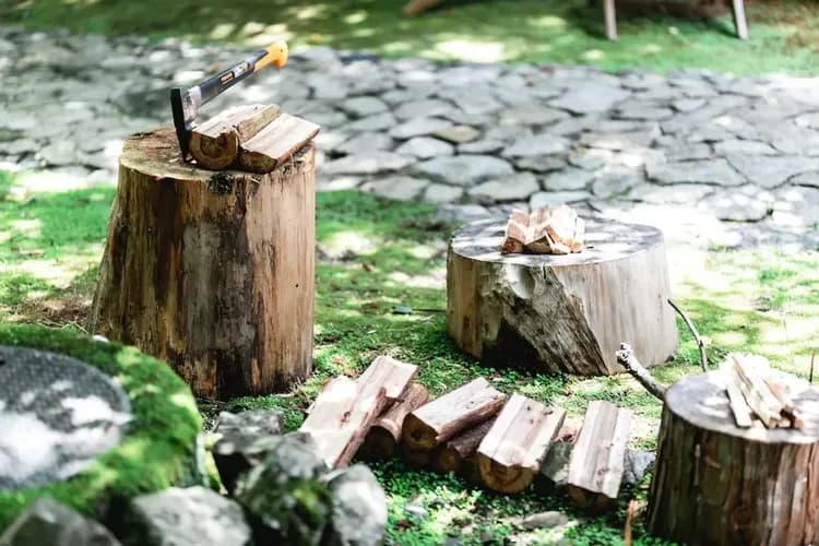 Children's activities