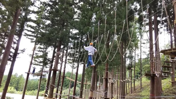 Ropes course (team building)