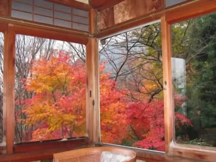 View from room