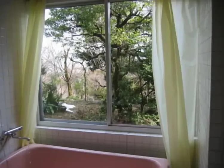 View from room