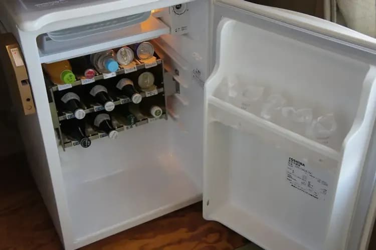 Mini-refrigerator
