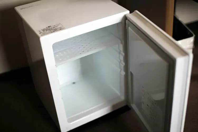 Mini-refrigerator
