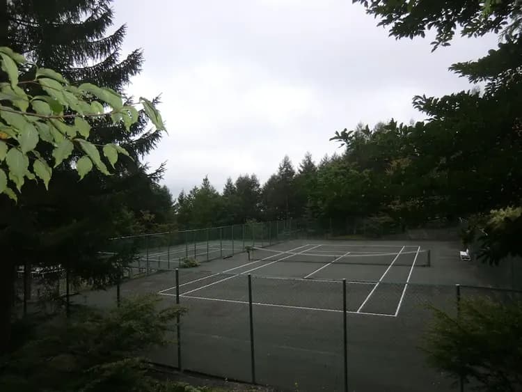 Tennis court