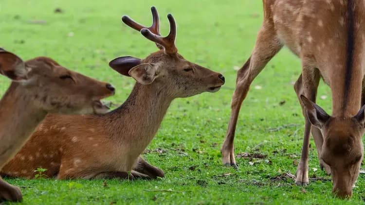 Children's play area - outdoor