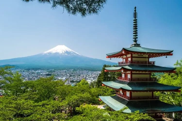 【嗨玩東京】迪士尼樂園、淺草觀音寺、豐洲千客萬來、富士大石公園五日