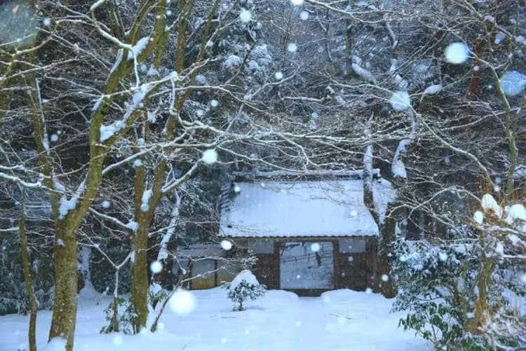 【東北省很大】松島銀山溫泉、秋田縱貫鐵道、長腳蟹吃到飽、兩晚溫泉酒店五日