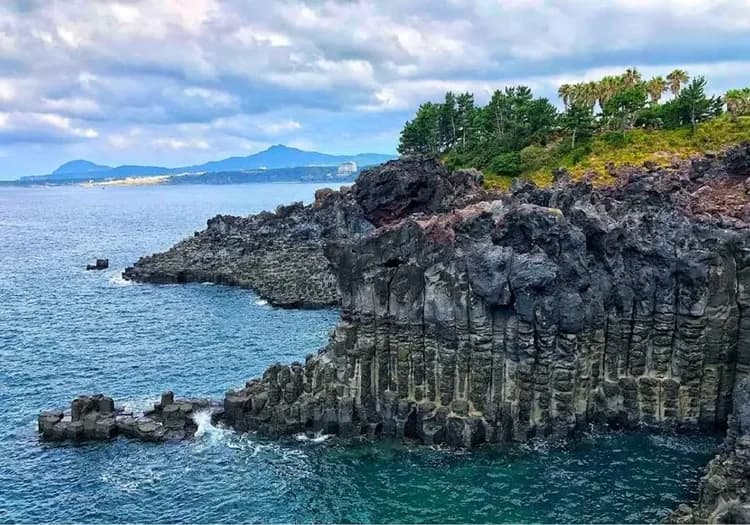 【賞櫻預購折2000｜濟州旅遊】春天最美道路~鹿山路、金黃花毯山房山、全新小熊軟糖世界、一站購物彩妝、5日