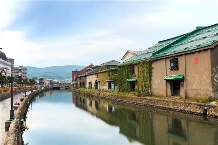 【限量搶北海道旅遊】函館纜車、企鵝遊行、小樽漫遊、熊牧場、OUTLET、三大螃蟹、溫泉、五日、保住四晚溫泉