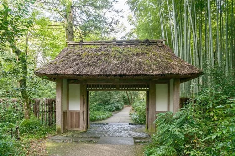 飽覽富士山美饌名湯-8