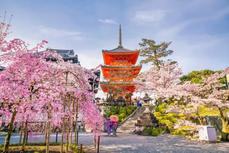 【櫻花季】京阪奈賞櫻名所~平安神宮、清水寺、勝尾寺、環球影城、和服體驗、螃蟹吃到飽、五日