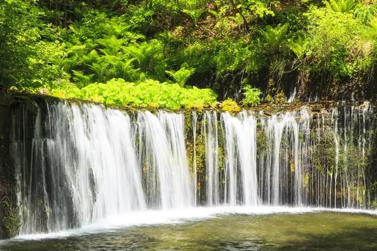 東京旅遊｜澀谷宮下公園.玩樂迪士尼.保住1晚國際飯店.輕井澤.川越.西湖里根場.萌木之村.雙溫泉六日｜高雄來回