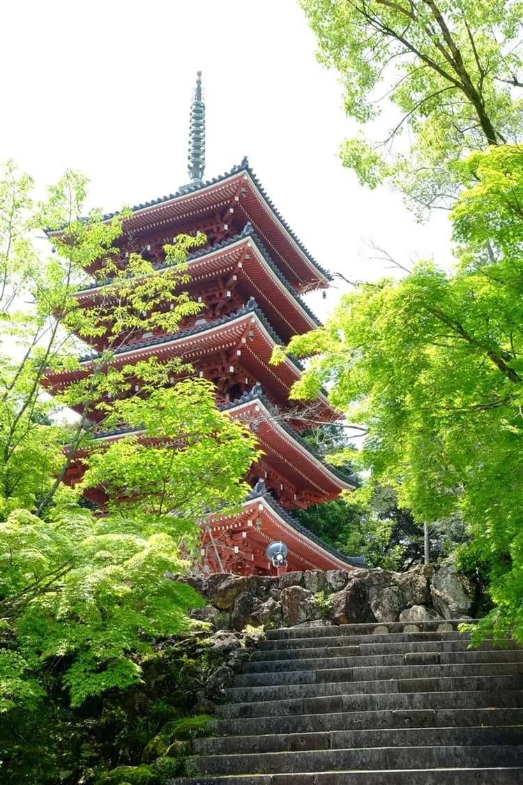 限量出清.日本旅遊｜寒霞溪.大步危遊船.五台山竹林寺.松山城.金刀比羅宮六日｜台中出發