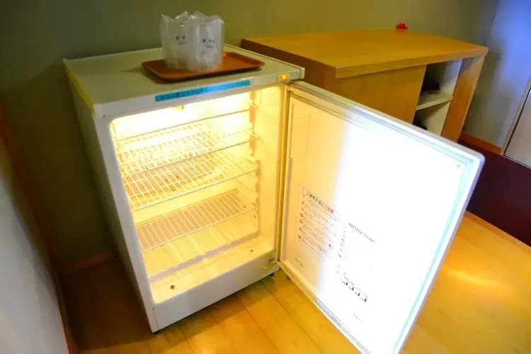 Mini-refrigerator