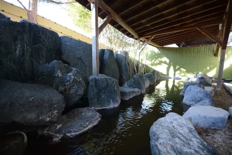 Public bath