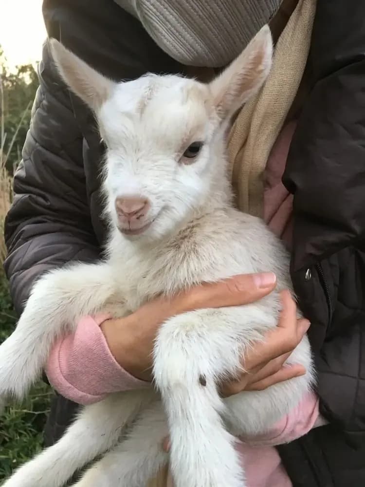 Children's activities