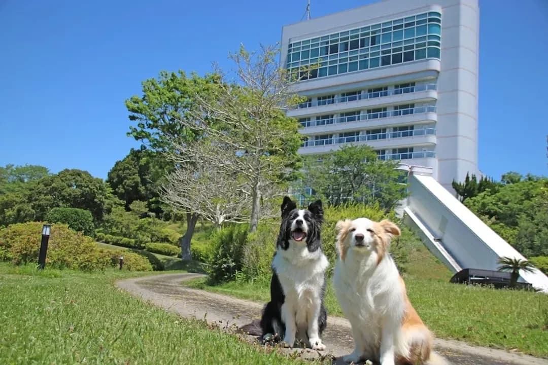 和歌山縣-南紀白濱汪汪天堂