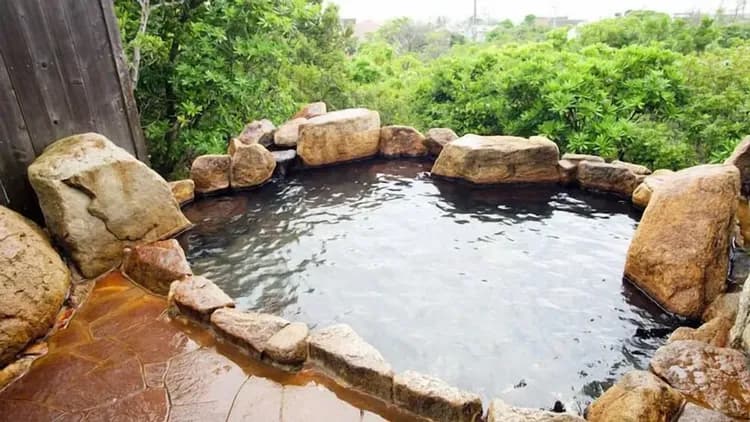Natural pool