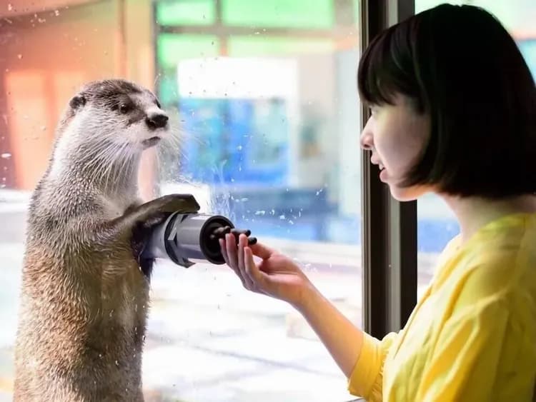 Children's activities