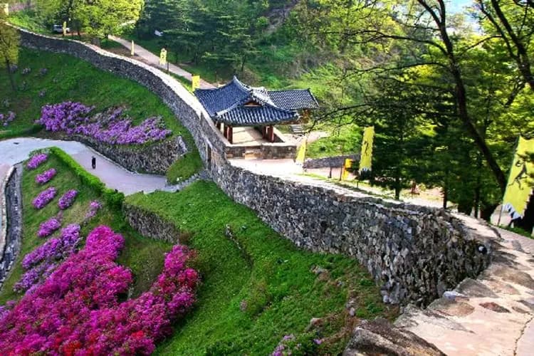 韓國櫻繽紛～網美懸索吊橋、賽馬公園夜櫻、南山N首爾塔、兩晚首爾五星五日