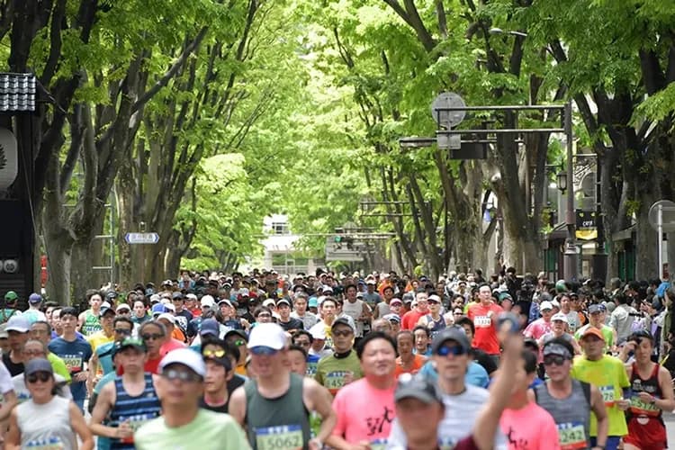 圖片來源：仙台半馬官網