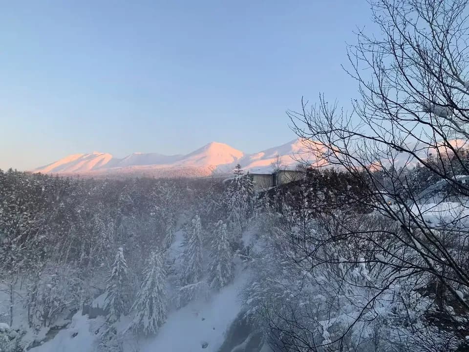 【札幌出發】北海道旭川動物園、美瑛、四季彩丘、森林精靈露台一日遊-3