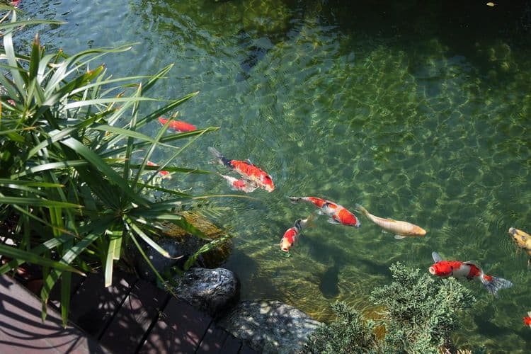 사이프레스 하우스 Cypress House-15