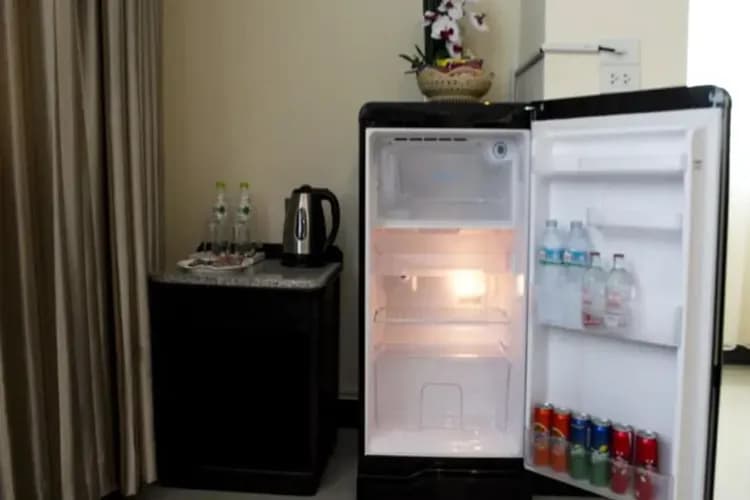 Mini-refrigerator