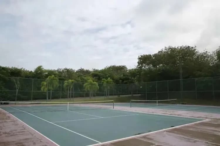 Sport court