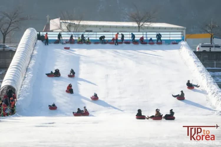 華川山鱒魚冰釣祭典