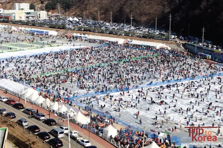 華川山鱒魚冰釣祭典