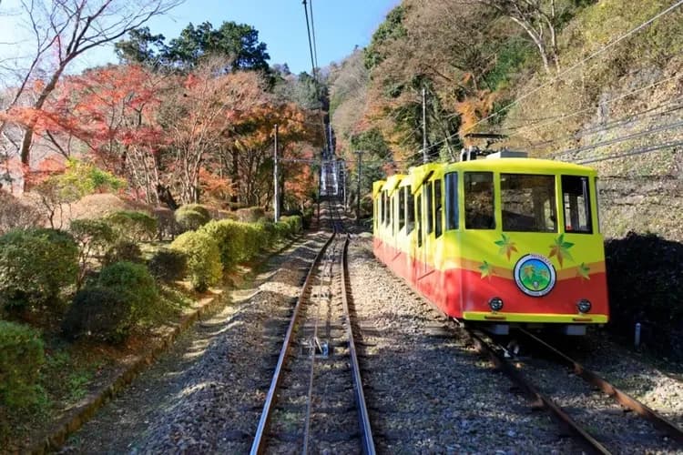 初心遊│關東雙鐵道│52席至福餐廳列車．星野榆樹街小鎮．山梨葡萄酒莊．高尾山．小江戶川越│雙溫泉5日