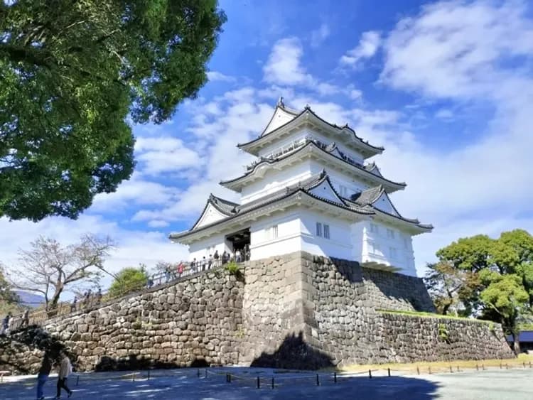 東京旅遊｜東京戲雪趣.箱根遊船.忍野八海.江之島.迪士尼.螃蟹溫泉美食五日