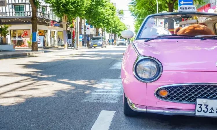 冬遊首爾|四晚市區飯店.滑雪體驗.景福宮韓服體驗.書卷氣息圖書館.文青聖水洞.明洞東大門好好逛(一站購物彩妝)五日|高雄-5