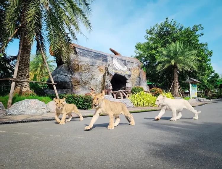 【泰國旅遊】大城獅子動物園、王朝古都巡禮、嘟嘟車遊大城、Emsphere百貨、河畔米推料理、夜訪中國城、無購物五日