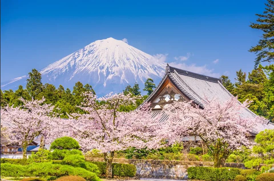 【富士山一日遊】富士山五合目・河口湖・忍野八海・御殿場OUTLETS｜中文導遊｜可選擇上野、新宿出發｜1人成行-1