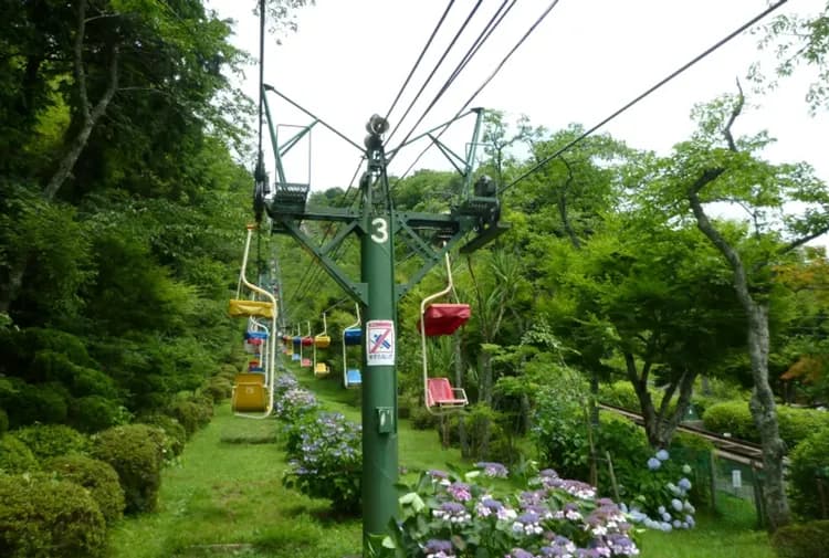 【天橋立一日遊】智恩寺・遊覽船・傘松公園・美山町｜可選擇大阪、京都出發｜含午餐-7