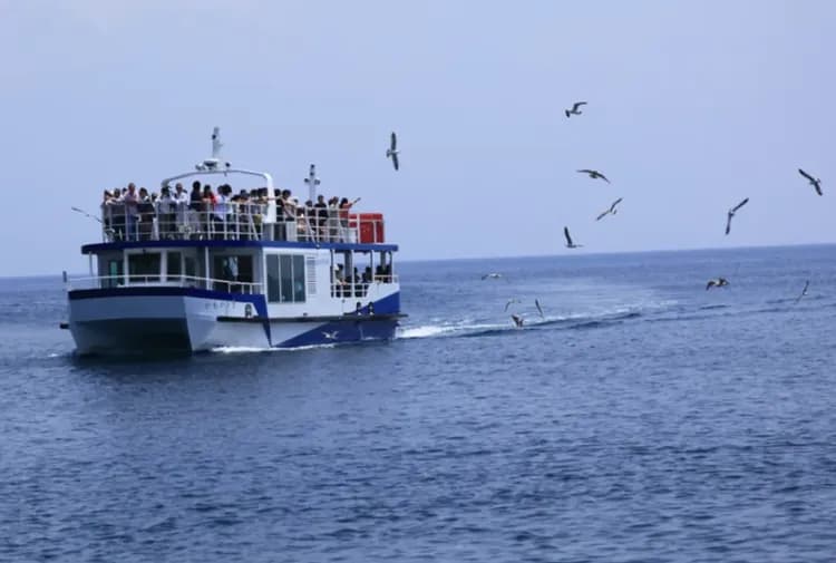 【天橋立一日遊】智恩寺・遊覽船・傘松公園・美山町｜可選擇大阪、京都出發｜含午餐-5