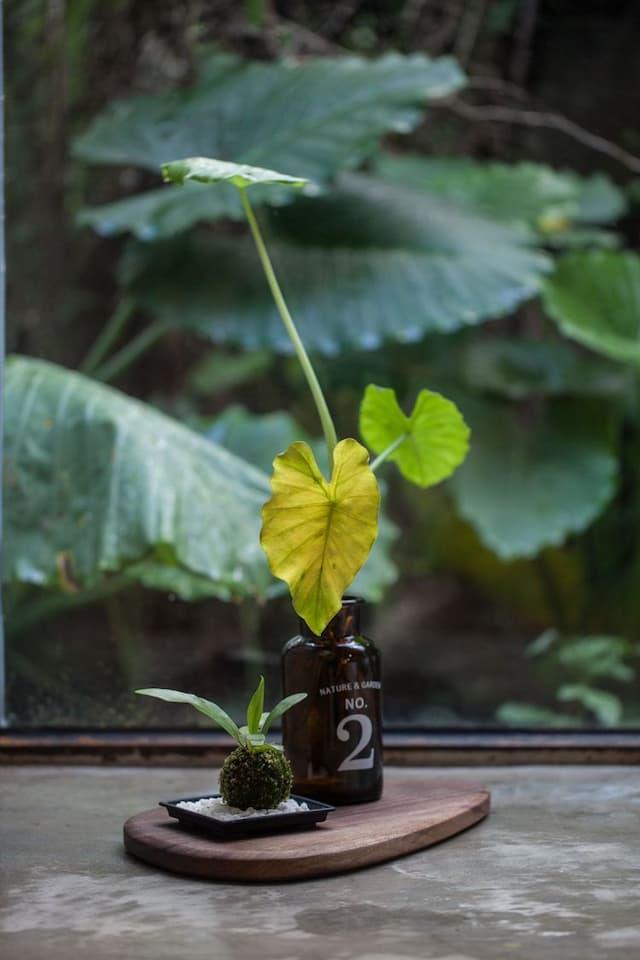 九份神隱之森-九份神隱之森: 特色平房2-7人-9