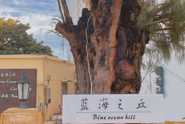 Blue Ocean Hill-Standard Double Room-5