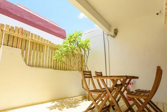 Summer Homestay-Dog Wangwang-7