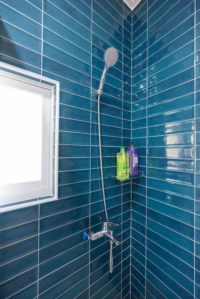 Summer Homestay-Dog Wangwang-10