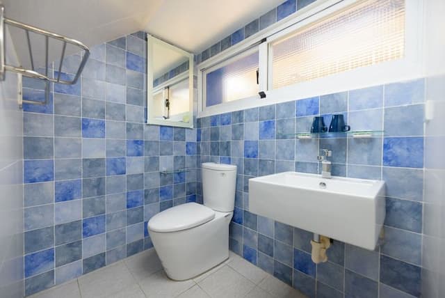 Summer Homestay-Cat-9