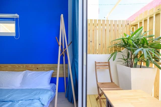 Summer Homestay-Cat-6