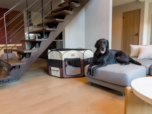 【104・105】ペット用ケージもご用意