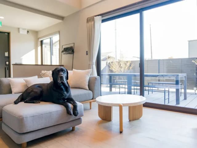 【104・105】ワンちゃんと一緒にリビングで寛ぎのひととき（1階）