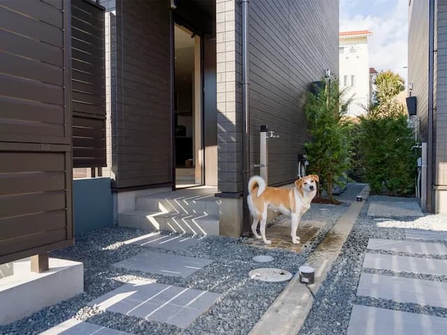 【104・105】ワンちゃん用の足洗い場もご用意