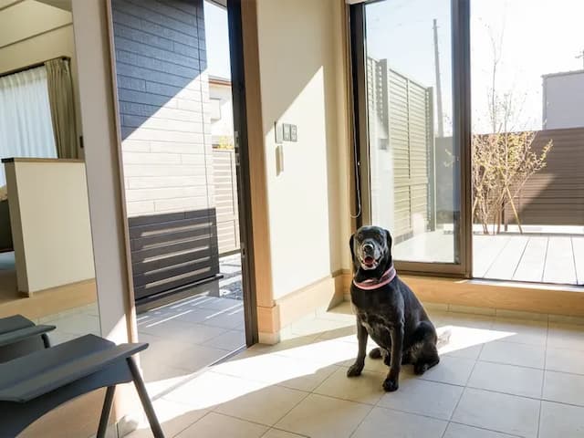 【104・105】ワンちゃんの移動もスムーズ（1階）
